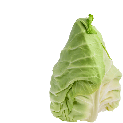 Cabbage heart